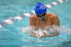 Swimming & Diving vs Babson  Swimming & Diving vs Babson College. - Photo by Keith Nordstrom : Wheaton, Swimming